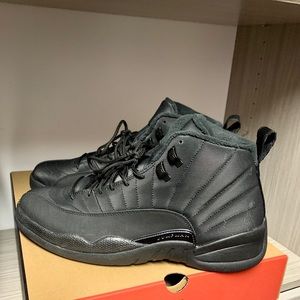 Retro Jordan 12. Size 12